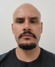gómez color, josé luis